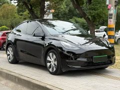 Tesla Model Y Long Range All-Wheel Drive - ფოტო 3