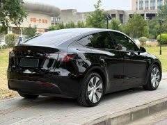 Tesla Model Y Long Range All-Wheel Drive - ფოტო 7