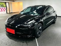 Tesla Model 3 Rear-Wheel Drive - ფოტო 1
