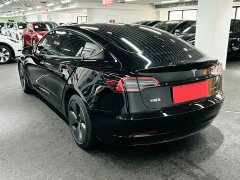 Tesla Model 3 Rear-Wheel Drive - ფოტო 6