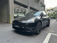 Tesla Model Y Performance All-Wheel Drive - ფოტო 1