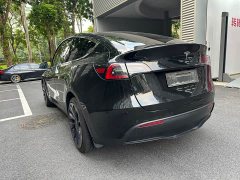 Tesla Model Y Performance All-Wheel Drive - ფოტო 14