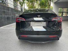 Tesla Model Y Performance All-Wheel Drive - ფოტო 15