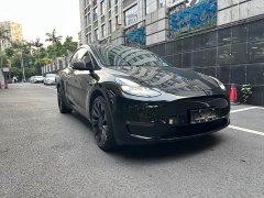 Tesla Model Y Performance All-Wheel Drive - ფოტო 2