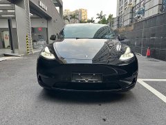 Tesla Model Y Performance All-Wheel Drive - ფოტო 3
