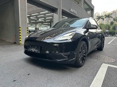 Tesla Model Y Performance All-Wheel Drive - ფოტო 4