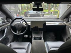 Tesla Model Y Performance All-Wheel Drive - ფოტო 6