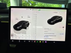 Tesla Model Y Performance All-Wheel Drive - ფოტო 8