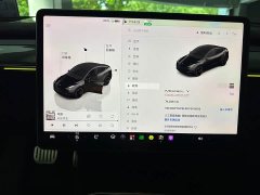 Tesla Model Y Performance All-Wheel Drive - ფოტო 9
