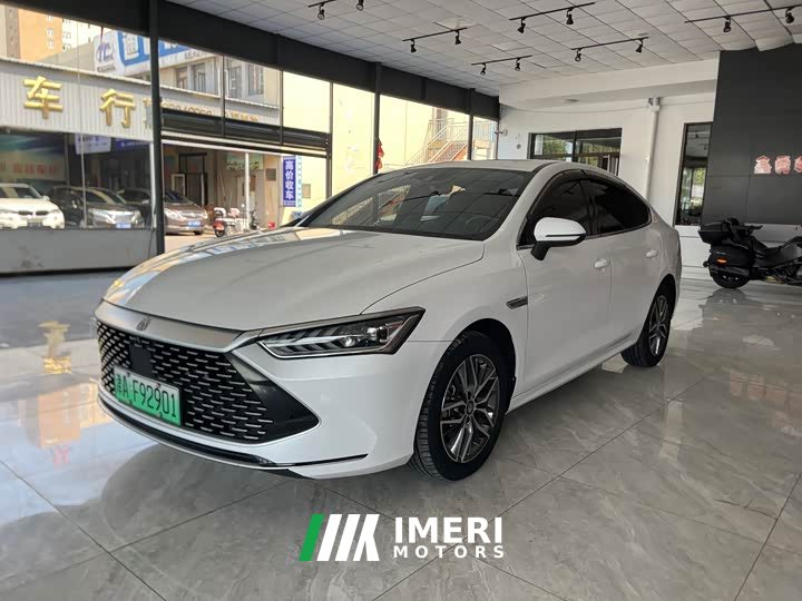 BYD Qin Plus DM-i 120KM Flagship