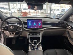 BYD Qin Plus DM-i 120KM Flagship - ფოტო 6