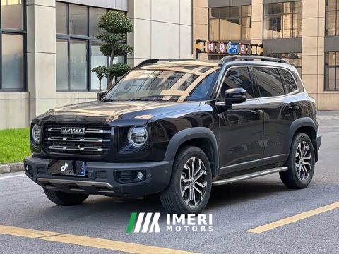 2021 Great Wall Dachshund 1.5T DCT Two-Wheel Drive Malinois Edition - ავტომობილი ჩინეთიდან
