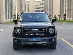 Great Wall Dachshund 1.5T DCT Two-Wheel Drive Malinois Edition - ფოტო 2