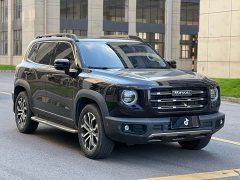 Great Wall Dachshund 1.5T DCT Two-Wheel Drive Malinois Edition - ფოტო 3