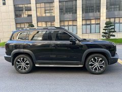 Great Wall Dachshund 1.5T DCT Two-Wheel Drive Malinois Edition - ფოტო 4