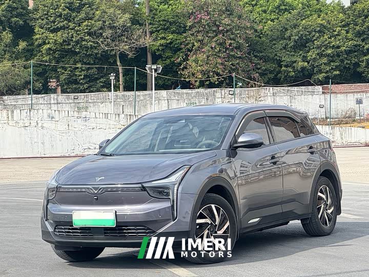 Neta U 2022 Smart 400 Pro Ternary Lithium - ავტომობილი ჩინეთიდან