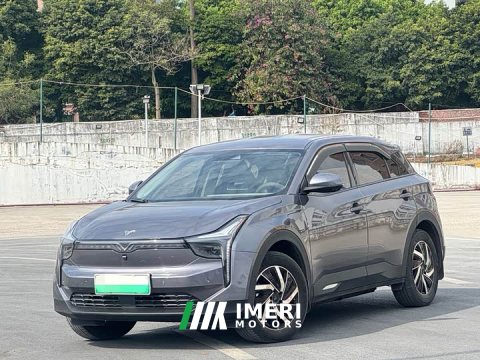 2023 Neta U 2022 Smart 400 Pro Ternary Lithium - ავტომობილი ჩინეთიდან