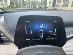 BYD Yuan Plus 510KM Flagship - ფოტო 12