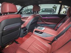 BMW 5 Series 530Li Luxury M Sport Package - ფოტო 5