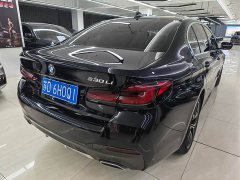BMW 5 Series 530Li Luxury M Sport Package - ფოტო 6