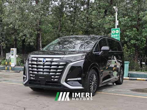 2024 Denza D9 2022 DM-i 970 AWD Flagship - ავტომობილი ჩინეთიდან