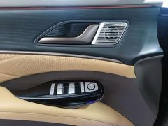 Denza D9 2022 DM-i 970 AWD Flagship - ფოტო 9