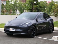 Tesla Model Y Rear-Wheel Drive - ფოტო 1