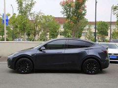 Tesla Model Y Rear-Wheel Drive - ფოტო 18