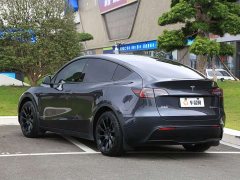 Tesla Model Y Rear-Wheel Drive - ფოტო 19