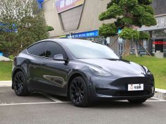 Tesla Model Y Rear-Wheel Drive - ფოტო 3
