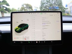 Tesla Model Y Rear-Wheel Drive - ფოტო 8