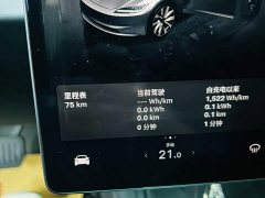 Tesla Model 3 Rear-Wheel Drive - ფოტო 8