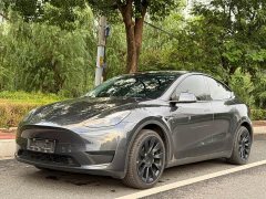 Tesla Model Y Rear-Wheel Drive - ფოტო 1