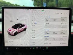 Tesla Model Y Rear-Wheel Drive - ფოტო 12