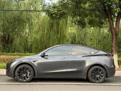 Tesla Model Y Rear-Wheel Drive - ფოტო 2