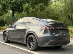 Tesla Model Y Rear-Wheel Drive - ფოტო 3
