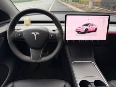 Tesla Model Y Rear-Wheel Drive - ფოტო 9