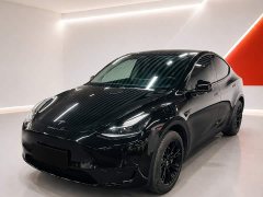 Tesla Model Y 2022 Facelift Rear-Wheel Drive - ფოტო 1