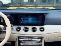 Mercedes-Benz E-Class (Imported) E 260 Cabriolet - ფოტო 13