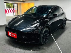 Tesla Model Y Rear-Wheel Drive - ფოტო 1