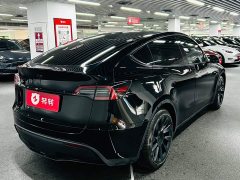 Tesla Model Y Rear-Wheel Drive - ფოტო 4