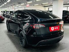 Tesla Model Y Rear-Wheel Drive - ფოტო 6