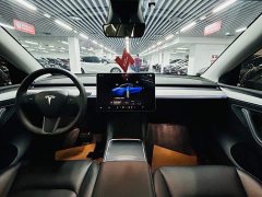 Tesla Model Y Rear-Wheel Drive - ფოტო 8