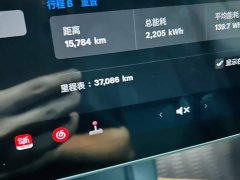 Tesla Model Y Rear-Wheel Drive - ფოტო 9