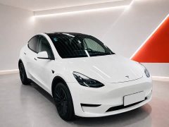 Tesla Model Y 2022 Facelift Rear-Wheel Drive - ფოტო 3