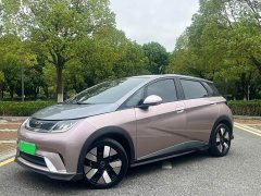BYD Dolphin 401km Knight Edition - ფოტო 1