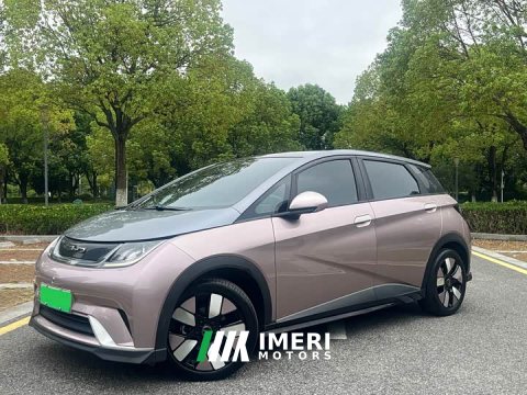 2022 BYD Dolphin 401km Knight Edition - ავტომობილი ჩინეთიდან