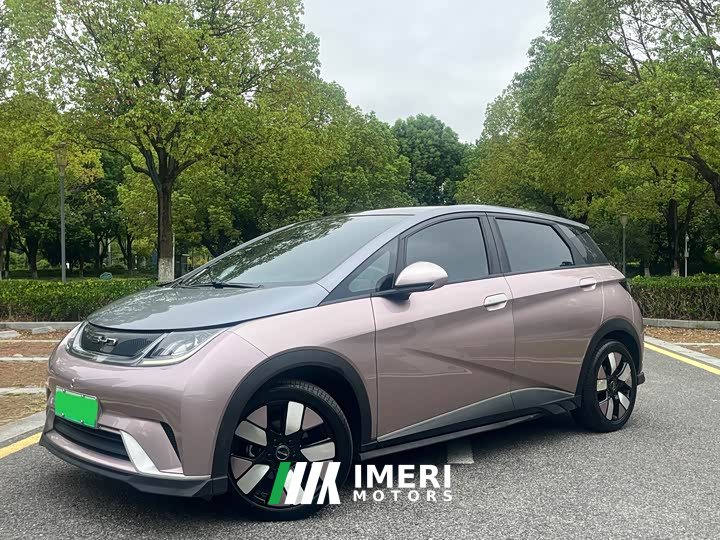 BYD Dolphin 401km Knight Edition