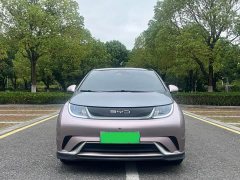 BYD Dolphin 401km Knight Edition - ფოტო 2