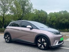 BYD Dolphin 401km Knight Edition - ფოტო 3